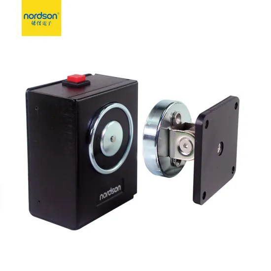 Black DC12V/24V Wall Mount Electric Door Holder Door Stopper